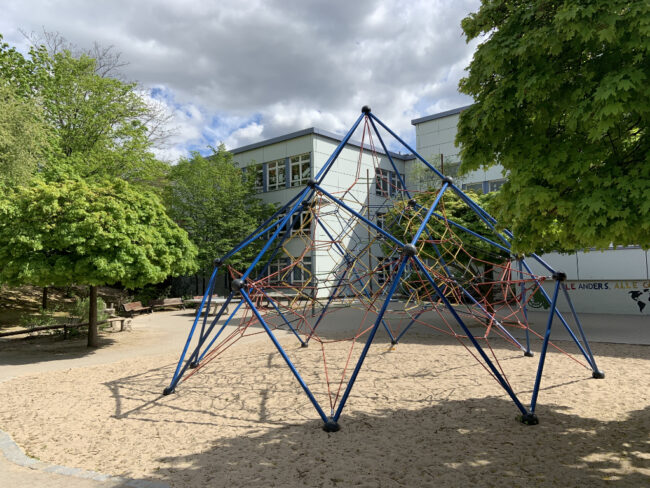 Kletterspinne